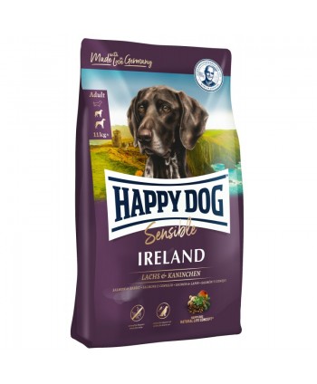 happy dog Sensible Irland...
