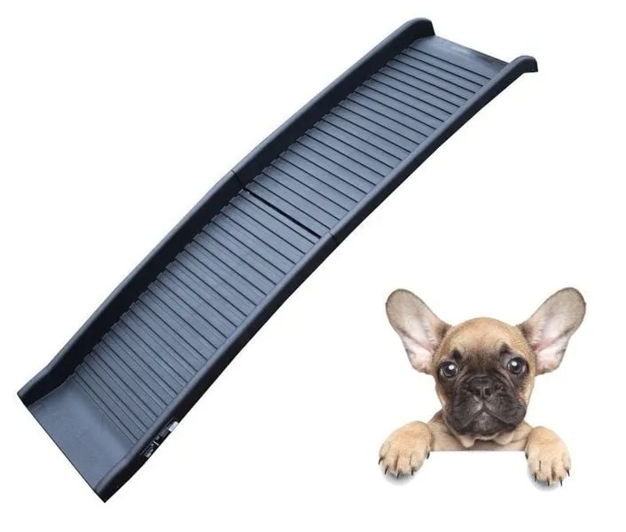 Jak zrobić rampę dla psa, aby zapewnić mu bezpieczeństwo i komfort