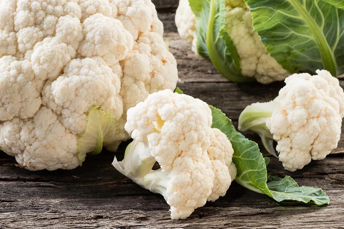 Czy pies może jeść kalafior? Sprawdź, co musisz wiedzieć o jego diecie