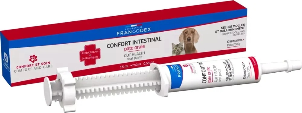 Jak prawidłowo stosować Borasol dla psa - dawkowanie i bezpieczeństwo