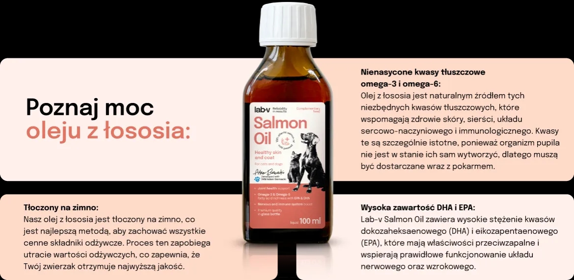 Jaki olej z łososia dla psa? Najlepsze produkty dla zdrowia pupila