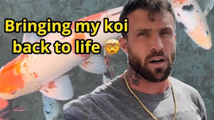 Jak pomóc zdychającej rybce - skuteczne sposoby na ratunek i ulgę